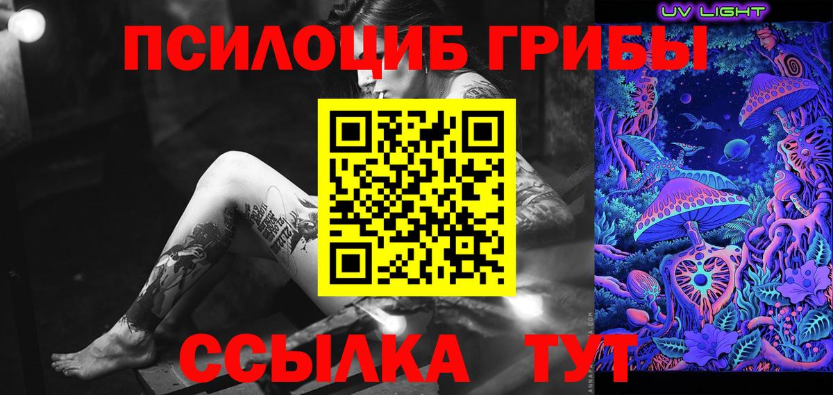 Псилоцибиновые грибы Cubensis  даркнет сайт  Карпинск  Вход с VPN 